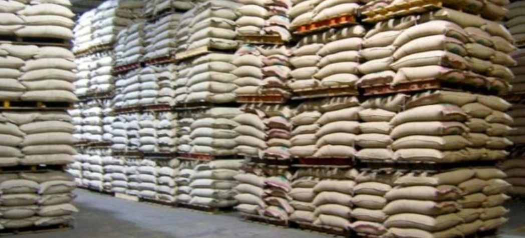 Green coffee beans in jute bags